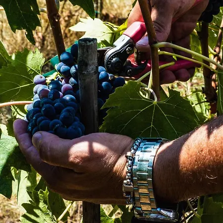La Camporena * Greve in Chianti